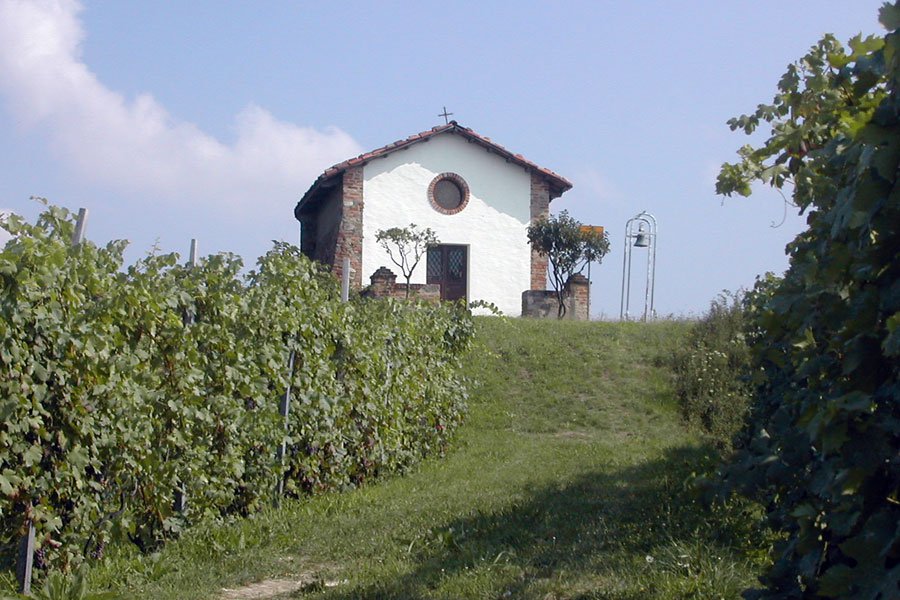 Castelnuovo Don Bosco | "Camminata Magnifica"